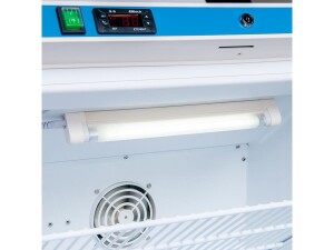 Kühlschrank mit Glastür GT66, Ventilator für gleichmäßige Kühlung, BTH 600 x 600 x 1850 mm