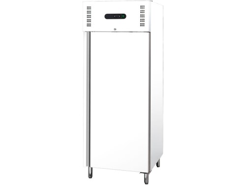 Lager Kühlschrank LW21 Umluft 650 Liter für GN 2/1 680 x...