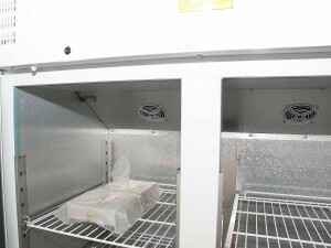 Doppeltür Kühlschrank LW21, Inhalt 1173 Liter,...